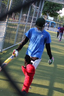 cricketbanner2