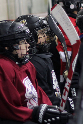 HockeyBanner